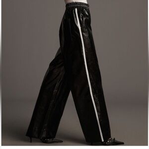 NWT Anthropologie Faux Leather Pants - Medium Petite